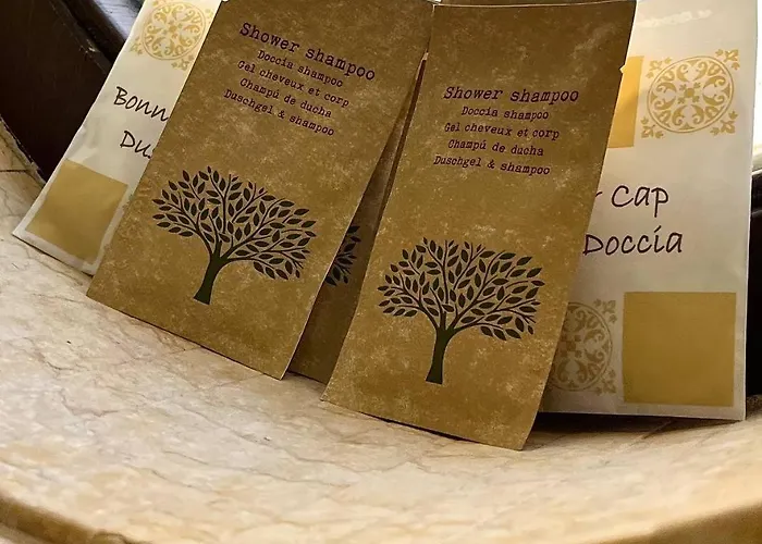 Via Neve-historical Centre Guest house